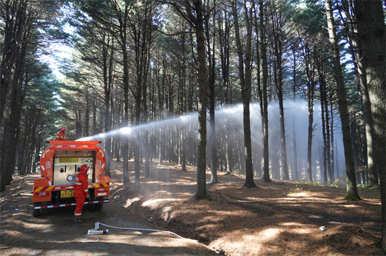 1761809380315292.jpg 興參林場開展實戰化森林滅火演練(3).jpg